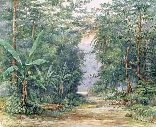 The Blue Mountains Jamaica Oil Painting - Admiral Sir Edward Augustus Inglefield