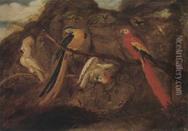 A Scarlet And Blue And Gold Macaw With Sulphur-crested Cockatoos And Other Birds, In A Landscape Oil Painting - Roelandt Savery