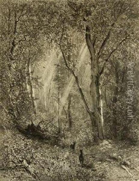Beech And Oak - Two Helio-engravings From The Cycle Austrian Forest Character Oil Painting - Julius Edvard Marak