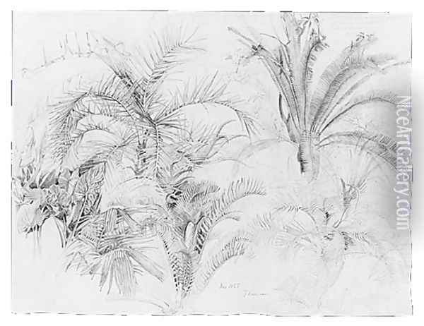 Palms Oil Painting - William Trost Richards