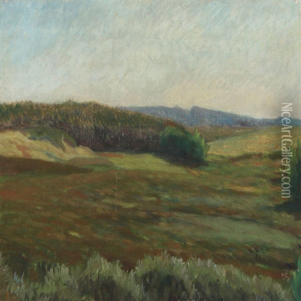 Landscape. Oil Painting - Charles Godtfredsen
