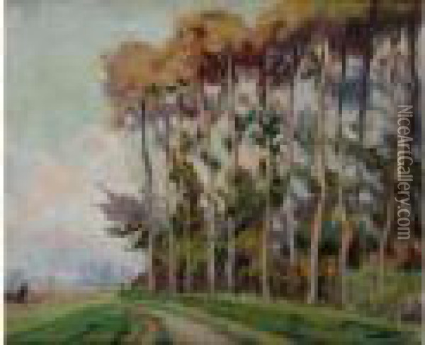 L'allee Bordee D'arbres Oil Painting - Antoine Calbet