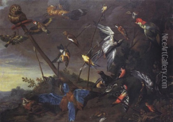 Oiseaux Dans Un Parc Oil Painting - Philipp Ferdinand de Hamilton