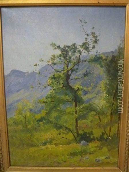 Paysage A L'arbre Oil Painting - Marcel Reymond