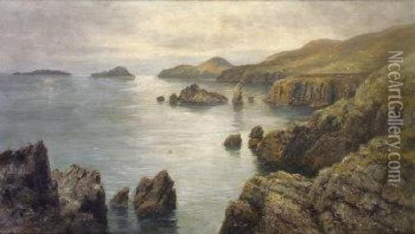View Of The Blaskets From The Ring Of Kerry Oil Painting - Alexander Williams