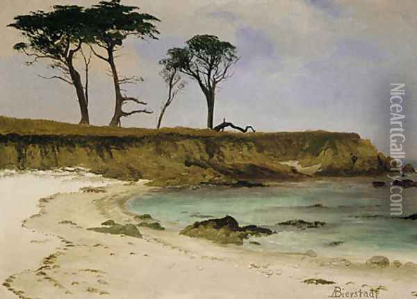 Sea Cove Oil Painting - Albert Bierstadt