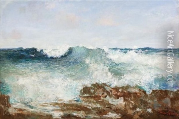 Seascape With Rolling Waves Oil Painting - Pieter Hugo Naude