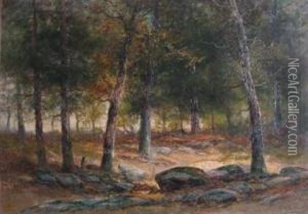 Landscape With Trees Oil Painting - Christopher H. Shearer