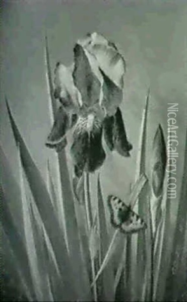 Bla Iris Og Sommerfugle Oil Painting - Otto Didrik Ottesen