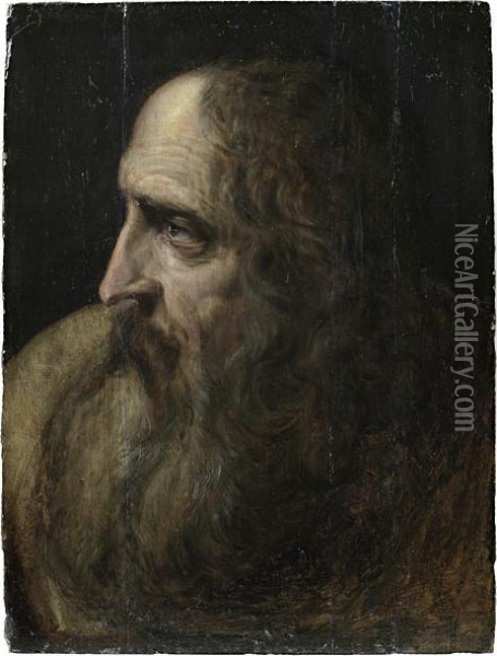 Study For An Old Man Oil Painting - Jacob Adriaensz Backer