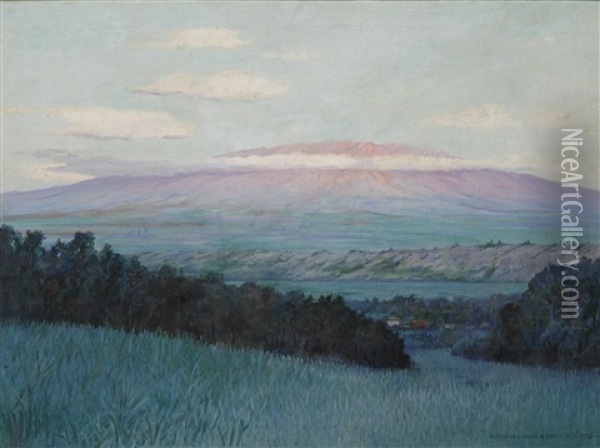 View Of Haleakala, Maui Oil Painting - David Howard Hitchcock