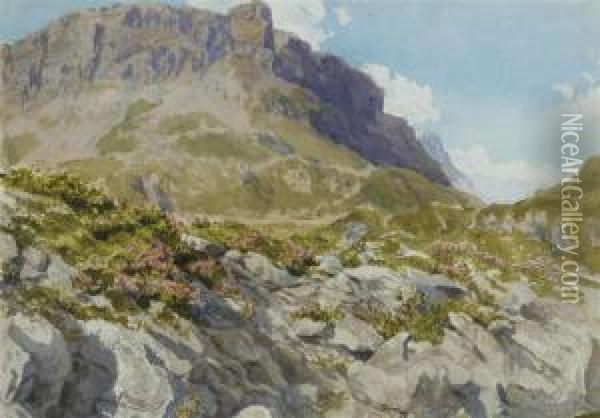 View Of An Alpine Landscape Oil Painting - Leonhard Steiner