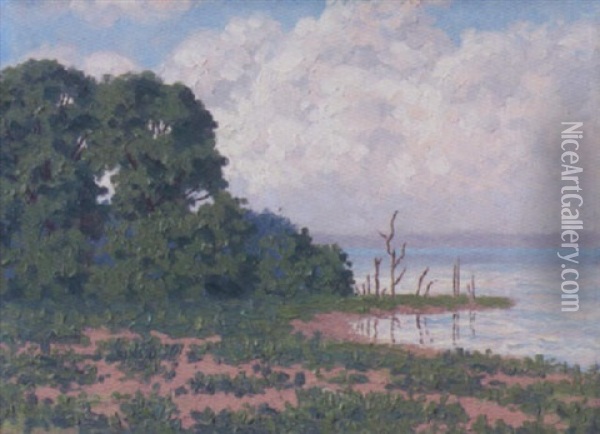 Raven Landscape Oil Painting - Hedley Waycott