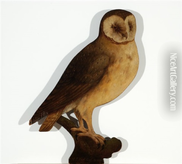 Owl Oil Painting - Hendrik Pieter Koekkoek