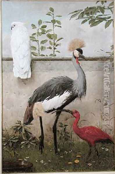 Cockatoo Crested Crane and Scarlet Ibis Oil Painting - Henry Stacy Marks