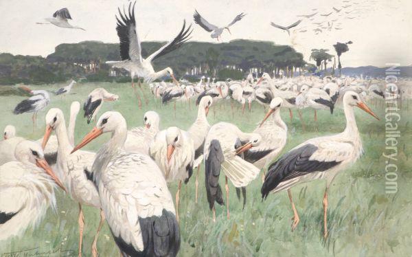Cranes Oil Painting - Wilhelm Kuhnert
