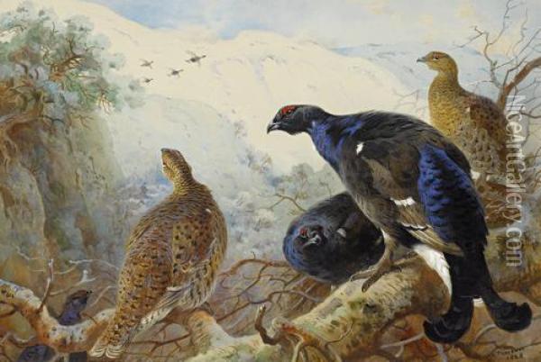 Blackgame Oil Painting - Archibald Thorburn