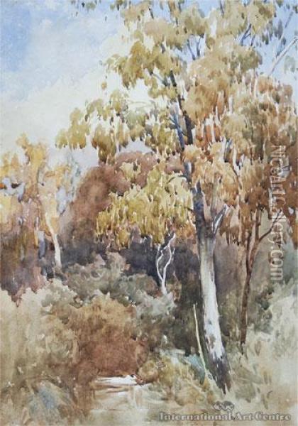 Tree Study Oil Painting - Edmond, Edward Gouldsmith