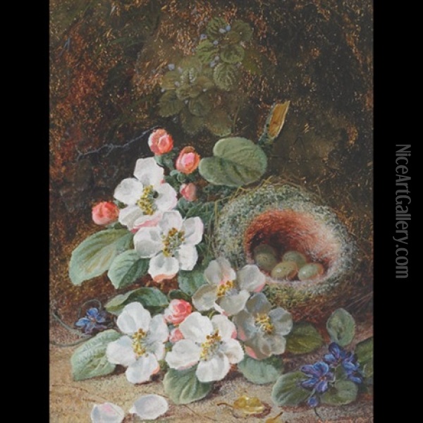 Still Life, Flowers And Bird's Nest On An Embankment Oil Painting - Vincent Clare