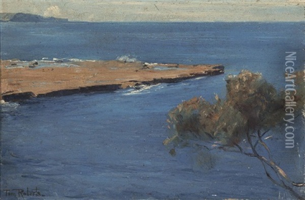 Coastal Scene, Nsw Oil Painting - Tom Roberts