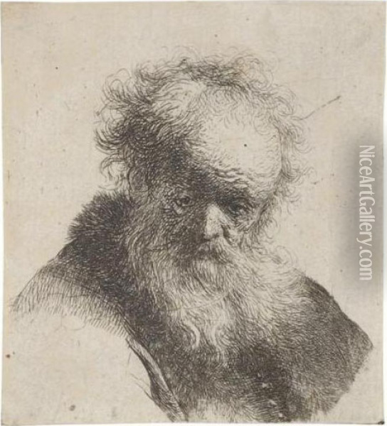Bust Of An Old Man With Flowing Beard And White Sleeve (b., Holl.291; H.26; Bb.30-10) Oil Painting - Rembrandt Van Rijn