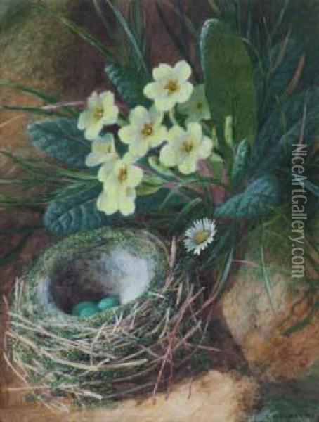 Still Life Studyof Primroses And A Bird's Nest Oil Painting - Charles Henry Slater