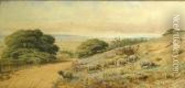 Sheep On The Hillside With A Coastal View Oil Painting - Sydney Jones Yard