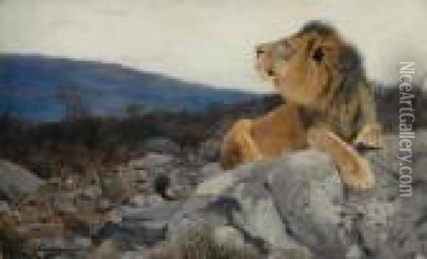 A Lion On The Rocks Oil Painting - Wilhelm Kuhnert