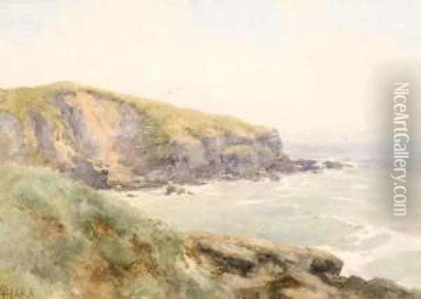 Rocks On The North Antrim Coast Oil Painting - Helen O'Hara