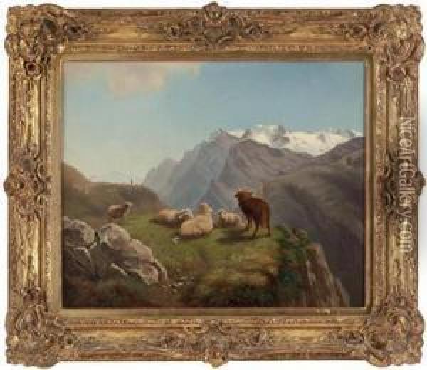 Schafe Auf Der Hochalm Oil Painting - Franz II Steinfeld