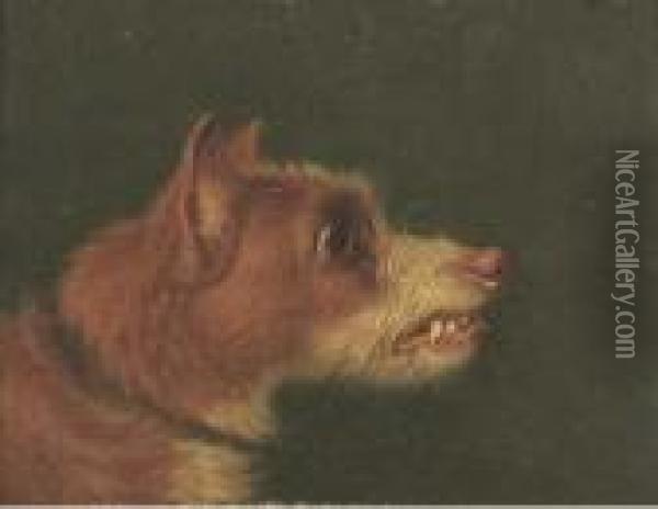 Snarling Terriers Oil Painting - Martin Theodore Ward