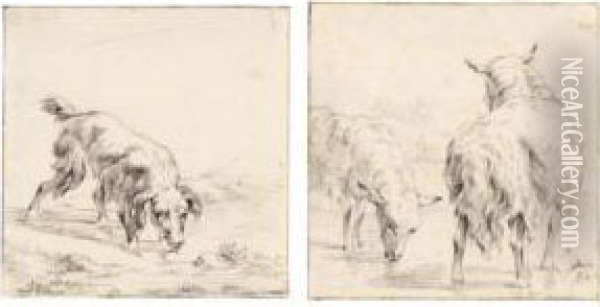 A Pair Of Studies Of Drinking Animals: A Dog, And Two Sheep Oil Painting - Jan van der Meer