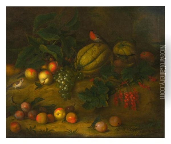 A Still Life With Plums, Grapes, A Melon And Songbirds Oil Painting - Jakob Bogdani