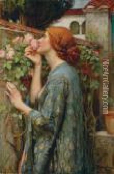 The Soul Of The Rose Oil Painting - John William Waterhouse