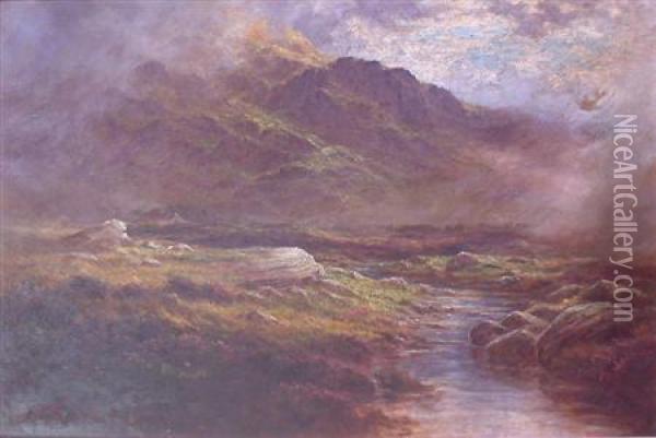 A Splash On The Moor And The Wind In Your Face, Near Kinlochewe, Ross-shire Oil Painting - J. Daniel