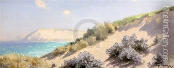 Coastal Landscapes Oil Painting - James H.C. Millar