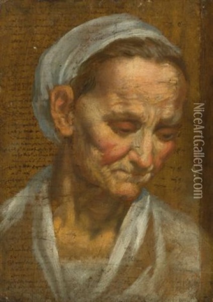 Head Of An Old Woman Looking Down To The Right Oil Painting - Annibale Carracci