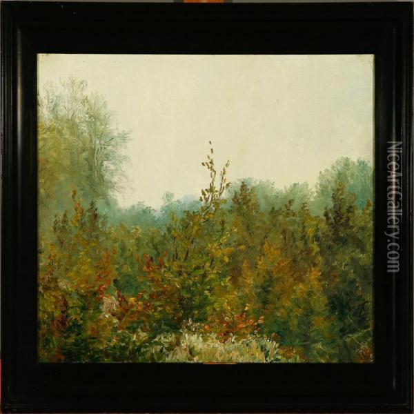 Landskabsstudie Folehave Oil Painting - Anthonie, Anthonore Christensen