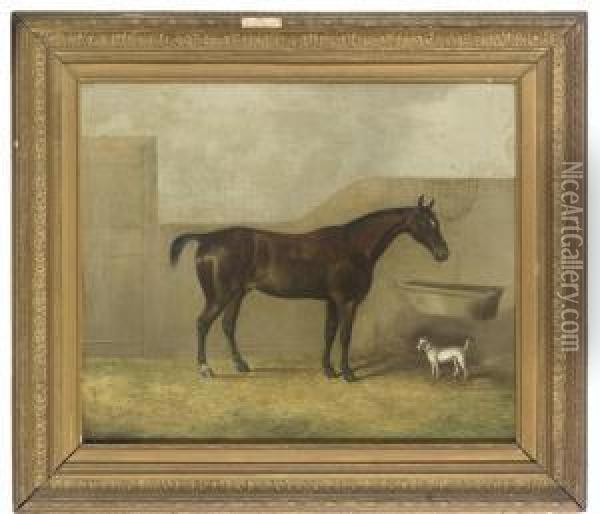 A Bay Horse And A Terrier In A Stable Oil Painting - James Senior Clark