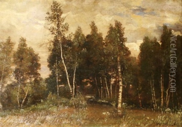 White Birch Trees Oil Painting - D. Jerome Elwell