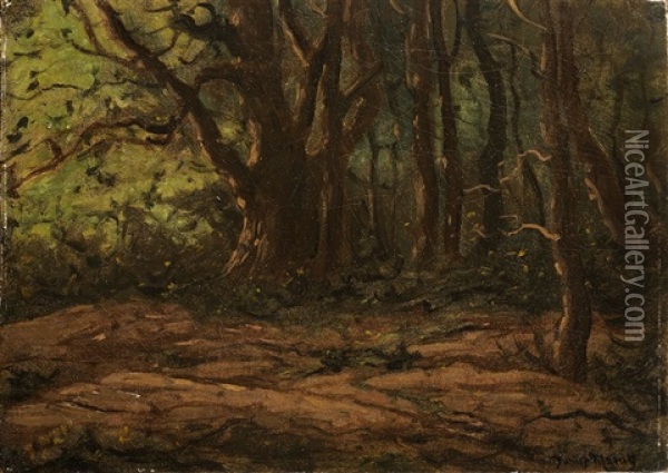 Forest Landscape Oil Painting - Julius Eduard Marak