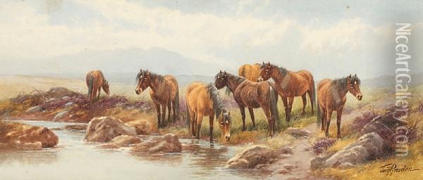 At Two Bridges, Dartmoor Oil Painting - Thomas, Tom Rowden