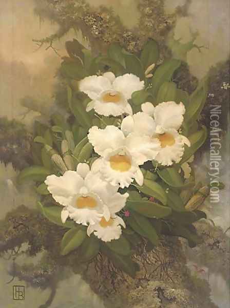 Orchids Oil Painting - English School