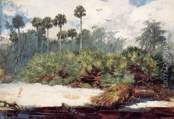 In a Florida Jungle Oil Painting - Winslow Homer