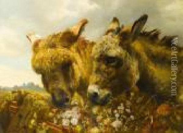 Two Donkeys Oil Painting - William Strutt