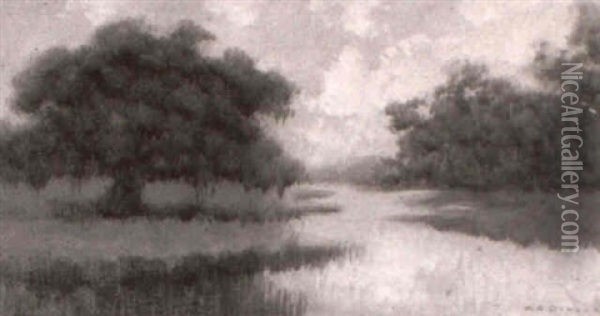 Bayou Scene With Oak Tree And Bushes Oil Painting - Alexander John Drysdale