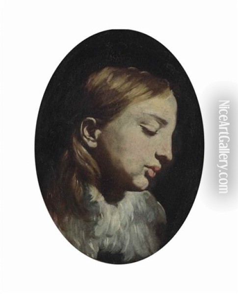 Head Of A Putto Oil Painting - Giacomo (Lo Spadarino) Galli