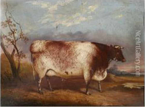 Bull Before A Landscape Oil Painting - John Vine Of Colchester