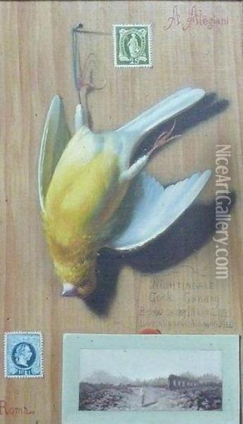 Cock Canary Oil Painting - Francesco Alegiani