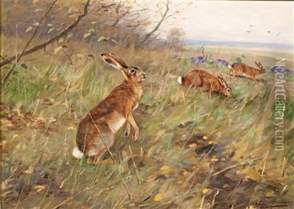 Hares In The Field Oil Painting - Christopher Drahtmann